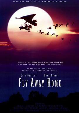 伴你高飛 Fly Away Home線上看