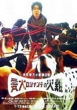 向井荒太的動物日記 向井荒太の動物日記 愛犬ロシナンテ災難線上看