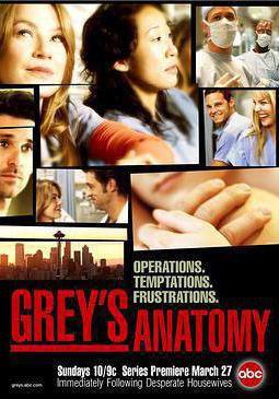 實習醫生格蕾 第一季 Grey's Anatomy Season 1線上看