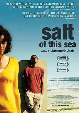 海之鹽 Salt of This Sea線上看