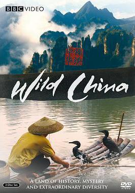 美麗中國 Wild China線上看