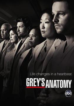 實習醫生格蕾 第七季 Grey's Anatomy Season 7線上看