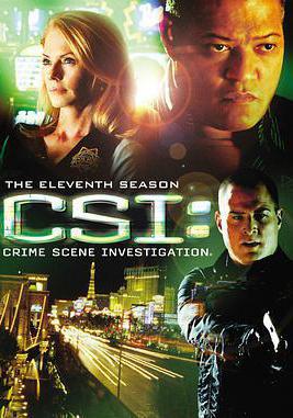 犯罪現場調查 第十一季 CSI: Crime Scene Investigation Season 11線上看