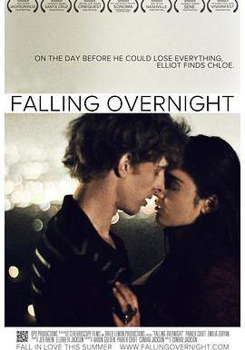 一夜鍾情 Falling Overnight線上看