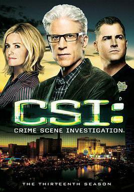 犯罪現場調查 第十三季 CSI: Crime Scene Investigation Season 13線上看