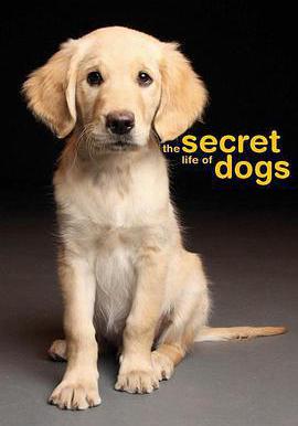 狗的祕密生活 Secret Life of Dogs線上看