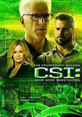 犯罪現場調查 第十四季 CSI: Crime Scene Investigation Season 14線上看