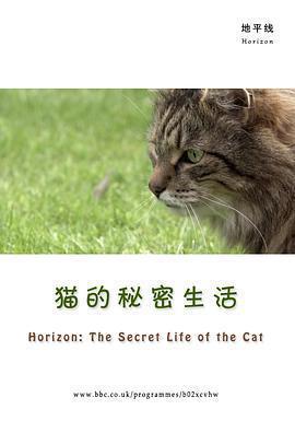 BBC地平線：貓的祕密生活 Horizon: The Secret Life of the Cat線上看