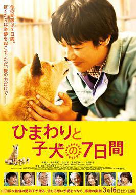 向日葵與幼犬的7天 ひまわりと子犬の7日間線上看