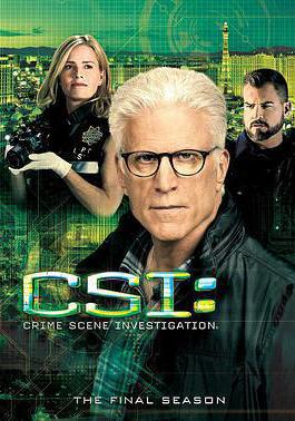 犯罪現場調查 第十五季 CSI: Crime Scene Investigation Season 15線上看