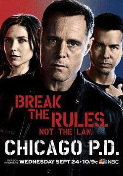 芝加哥警署 第二季 Chicago P.D. Season 2線上看