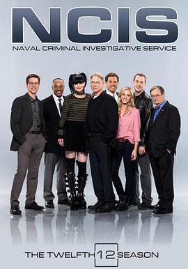 海軍罪案調查處 第十二季 NCIS: Naval Criminal Investigative Service Season 12線上看