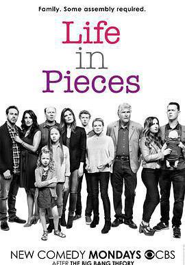 生活點滴 第一季 Life in Pieces Season 1線上看