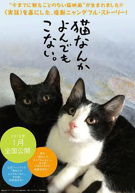 爲什麼貓都叫不來 貓なんかよんでもこない。線上看