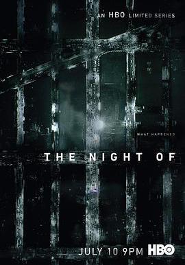 罪夜之奔 The Night Of線上看