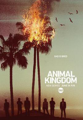 野獸家族 第一季 Animal Kingdom Season 1線上看