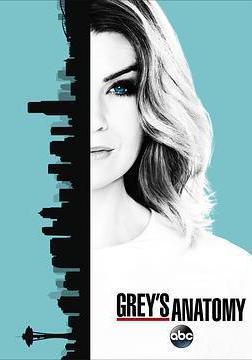 實習醫生格蕾 第十三季 Grey's Anatomy Season 13線上看