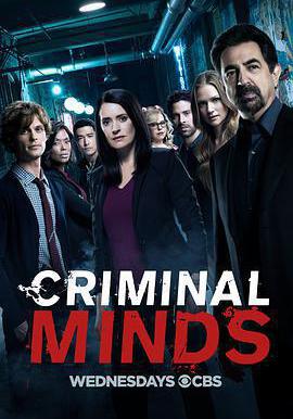 犯罪心理 第十三季 Criminal Minds Season 13線上看