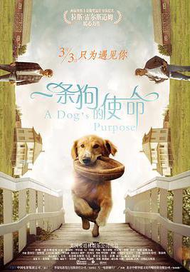 一條狗的使命 A Dog's Purpose線上看