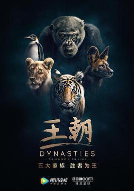 王朝 第一季 Dynasties Season 1線上看