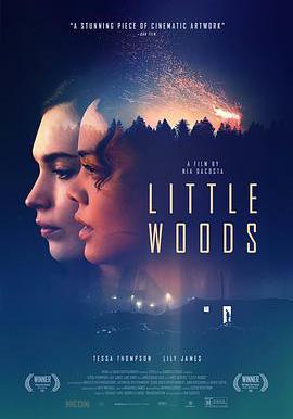 小森林 Little Woods線上看