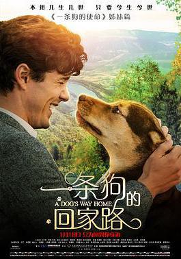 一條狗的回家路 A Dog's Way Home線上看