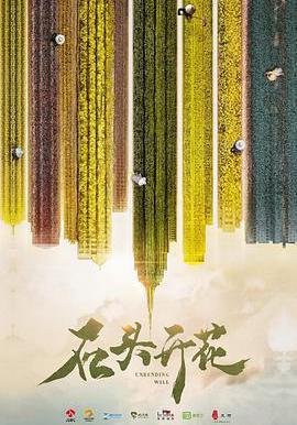 石頭開花線上看