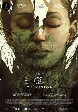 幻覺之書 The Book of Vision線上看