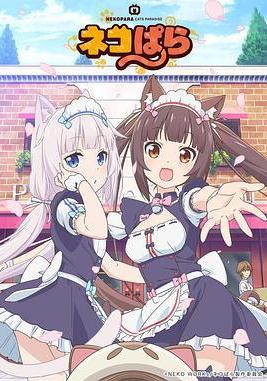 貓娘樂園 ネコぱら線上看