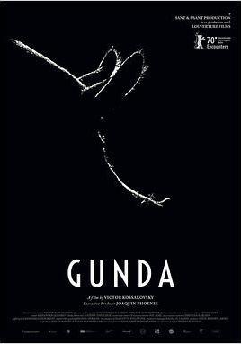 貢達 Gunda線上看