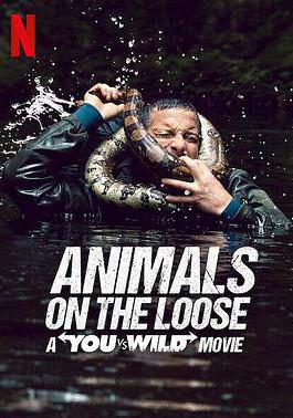 你的荒野求生電影版：出逃的野獸 Animals on the Loose: A You vs. Wild Movie線上看