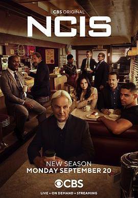 海軍罪案調查處 第十九季 NCIS: Naval Criminal Investigative Service Season 19線上看
