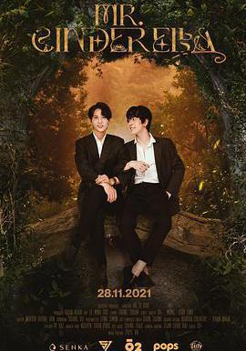 辛德瑞拉先生 Mr Cinderella線上看