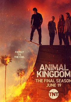 野獸家族 第六季 Animal Kingdom Season 6線上看