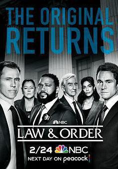 法律與秩序 第二十一季 Law & Order Season 21線上看