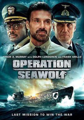 海狼行動 Operation Seawolf線上看