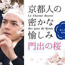 京都人的私房雅趣 Blue修業中 門出之櫻 京都人の密かな愉しみBlue修業中 門出の桜線上看