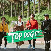 TOP DOG線上看