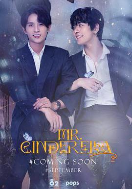辛德瑞拉先生 第二季 Mr Cinderella 2線上看