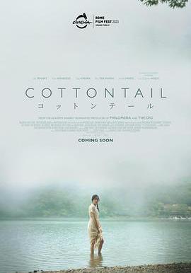 棉尾兔 Cottontail線上看