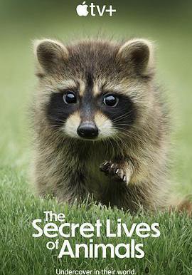 動物的祕密生活 The Secret Lives of Animals線上看