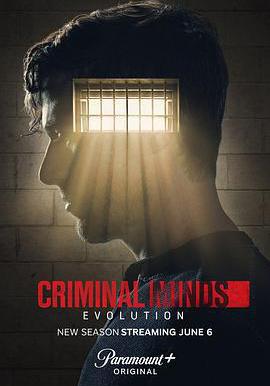 犯罪心理：演變 第十七季 Criminal Minds: Evolution Season 17線上看