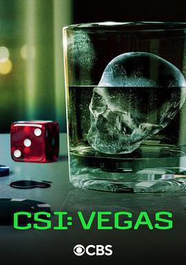 犯罪現場調查：維加斯 第三季 CSI: Vegas Season 3線上看