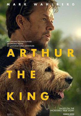 冠軍亞瑟 Arthur the King線上看