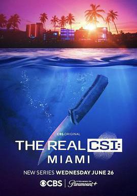 真實犯罪現場調查：邁阿密 The Real CSI: Miami線上看