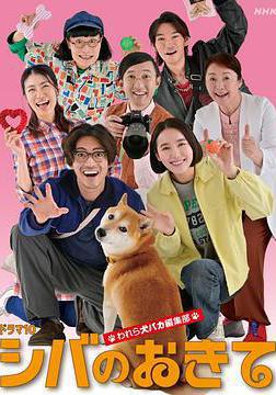 柴犬的規矩～我們這羣狗癡編輯部～ シバのおきて ～われら犬バカ編集部～線上看