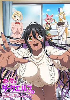 愛有些沉重的黑暗精靈從異世界追過來了 ちょっとだけ愛が重いダークエルフが異世界から追いかけてきた線上看