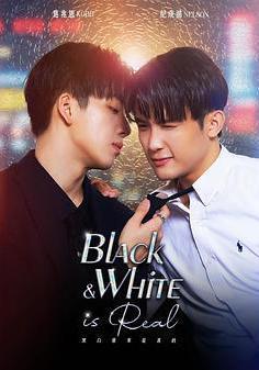 黑白原來是真的線上看