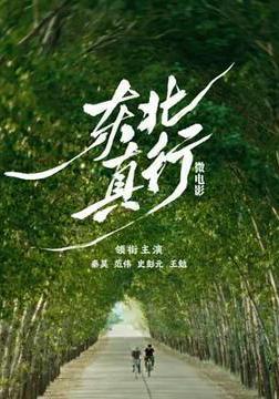 東北真行線上看