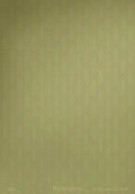 後室 Backrooms線上看